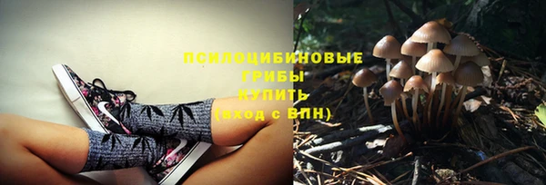 mdpv Алзамай