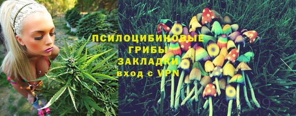 индика Алексин