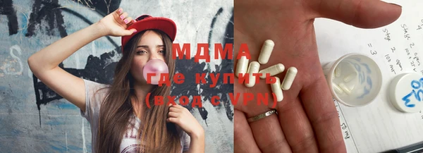 индика Алексин