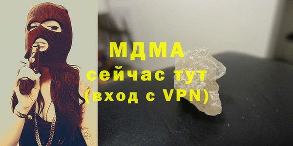 индика Алексин