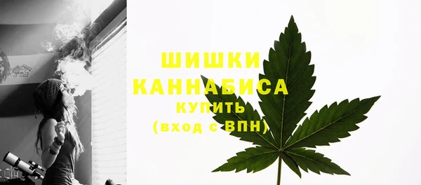 индика Магадан