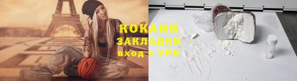 индика Алексин