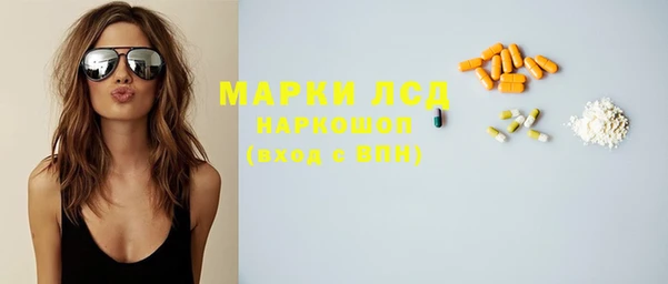 индика Алексин