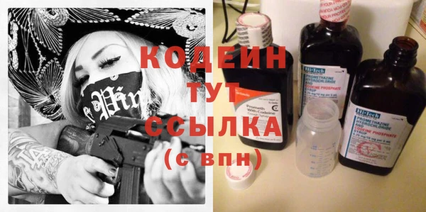 индика Алексин