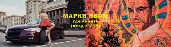 индика Алексин