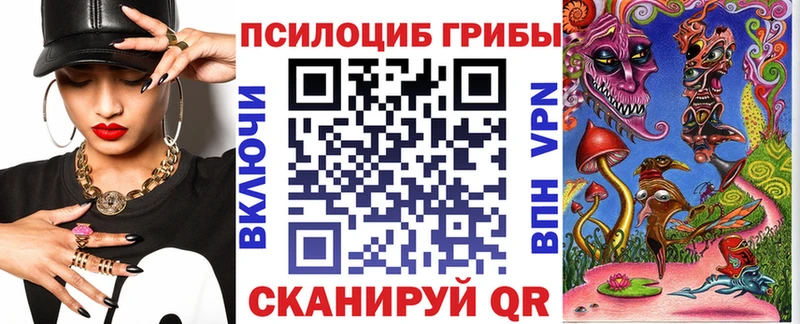 Псилоцибиновые грибы мицелий  Гвардейск 